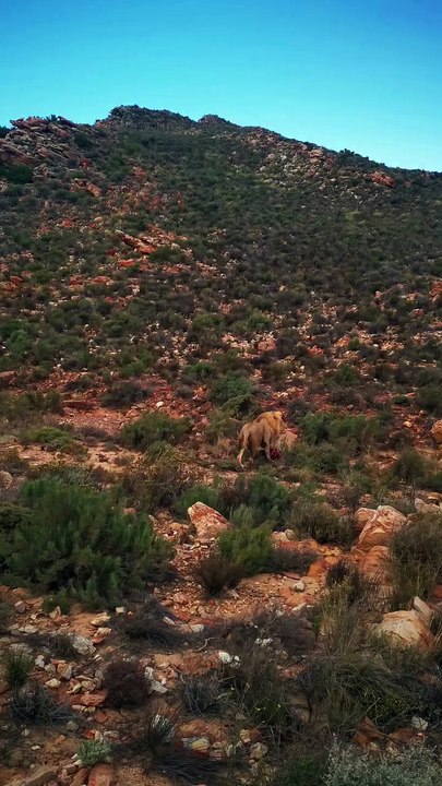 ⚠️ Attention aux dangers du bord de route. L’assistance dépannage en Afrique, ça ne plaisante pas.