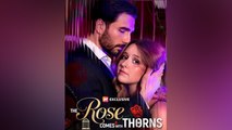 The Rose Comes With Thorns Englishsub