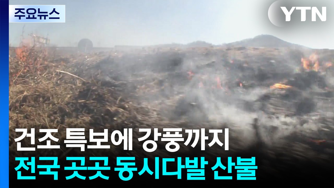 건조 특보에 강풍까지...전국 곳곳 동시다발 산불 / YTN