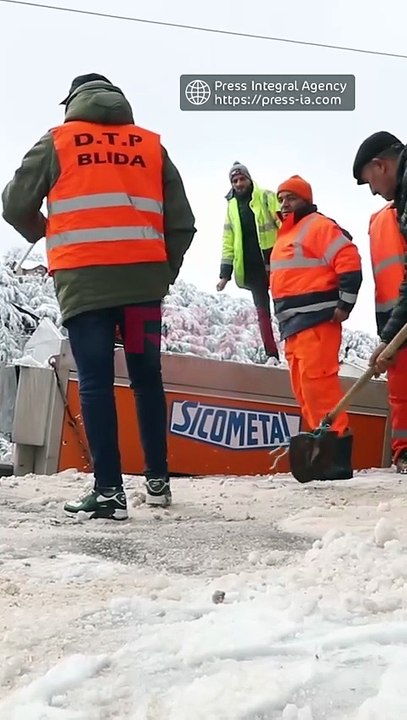 Fortes chutes de neige coupent les routes et isolent plusieurs wilayas algériennes