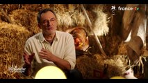 “Des remarques homophobes” : Nicky Doll victime de “harcèlement” de la part d’un professeur, ses confidences touchantes dans Un dimanche à la campagne (ZAPTV)