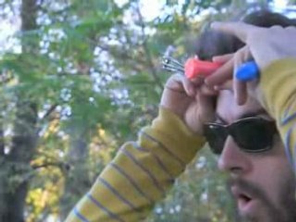 Triceratops. Biceratops.