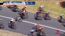 Rogue kangaroos hop into cyclists mid-race causing chaos at Tour Down Under