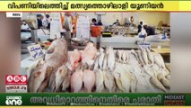 ലൈസൻസിന് പിന്നാലെ കുവൈത്ത് മത്സ്യത്തൊഴിലാളി യൂണിയൻ മത്സ്യം പ്രാദേശിക വിപണിയിൽ എത്തിച്ചു