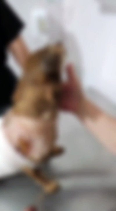 WhatsApp Video 2026-01-25 at 15.20.53 (1)