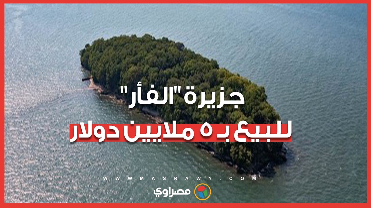 بـ 5 ملايين دولار.. جزيرة على شكل فأر تثير الج...