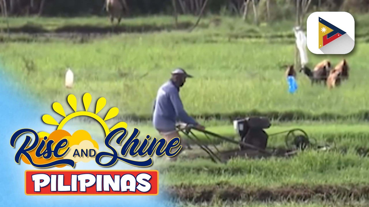 Reclassification ng mga lupang sakahan, pansamantalang sinuspinde ng D.A.