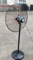 Mingletec BLDC industrial stand fan, fully sealed motor, dust proof, waterproof  #highquality #dcmotor #waterproof #manufacturer #fyp