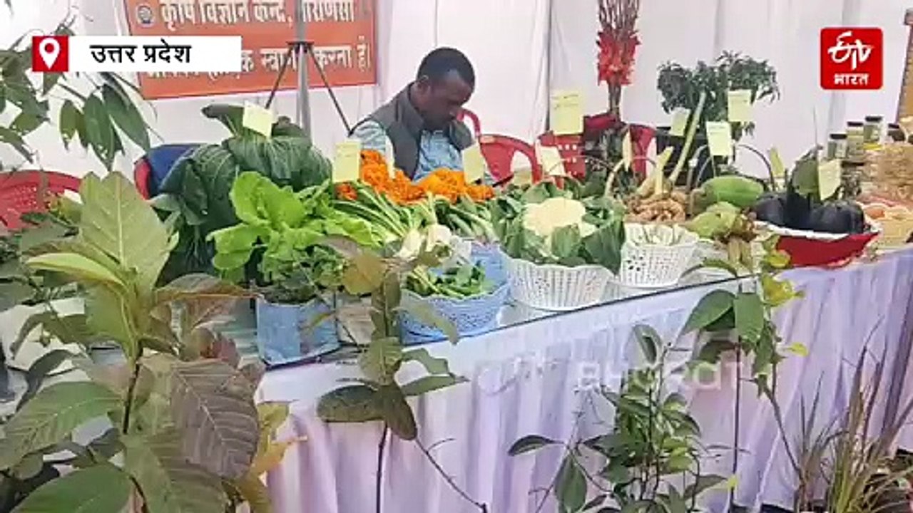 वाराणसी में किसान मेला; किसानों ने जाने आधुनिक और स्मार्ट तकनीक से सब्जियों का उत्पादन कर सकेंगे किसान