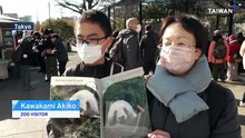 Japan’s Last Panda Twins To Return to China Amid Growing Tensions