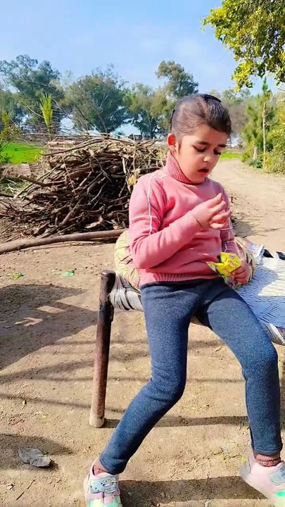 Punjabi mahol