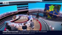 Pauline Pioche sur BFM (26/01/2026)