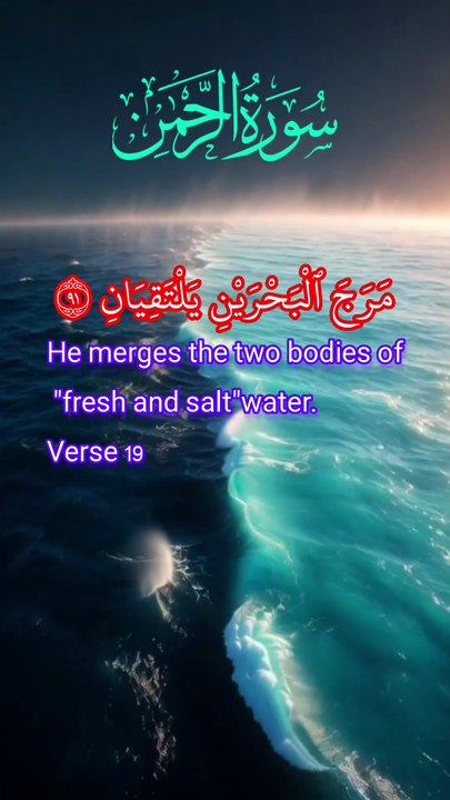 Surah Ar-Rahman (سورة الرحمن)| Heart Touching and Beautiful recitation | Tilawat | Quran karim