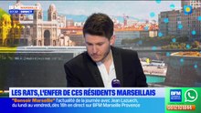 Bonjour Marseille du lundi 26 janvier 2026