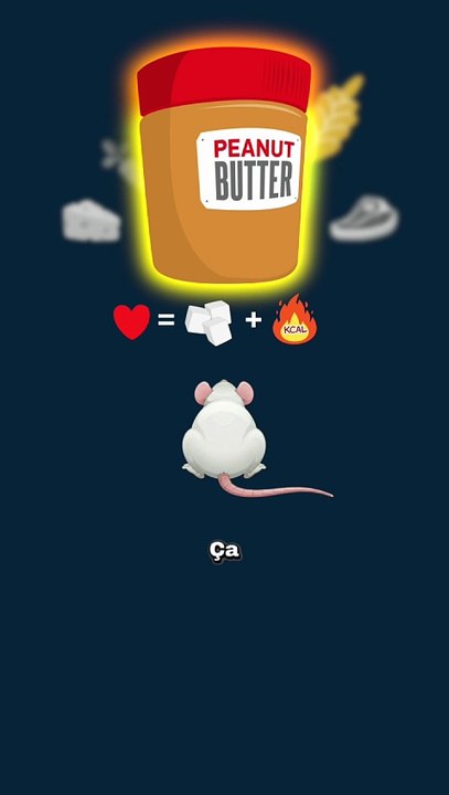 La souris DÉTESTE le fromage ! #souris #fromage #mythe #animaux #nature