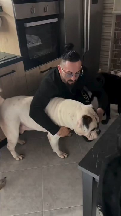 agozzino Alfredo story con i suoi animali