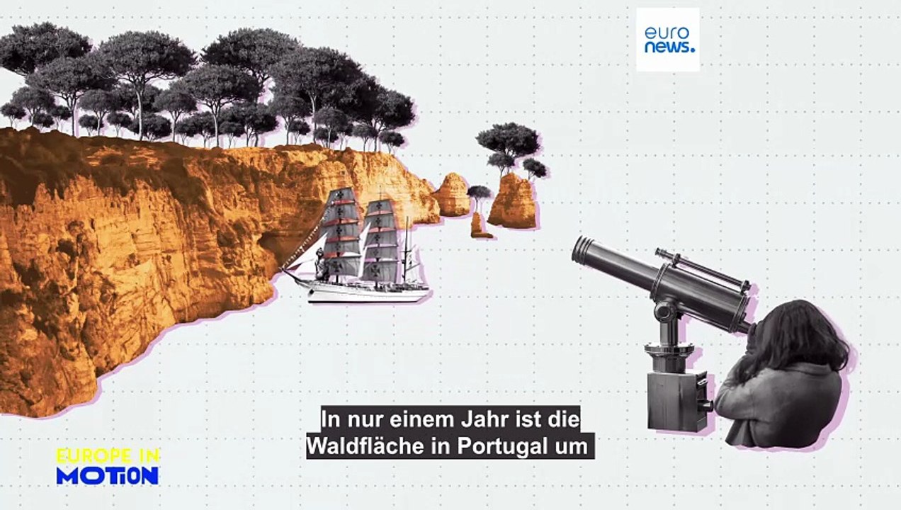 Portugals Waldboom hat einen brandgefährlichen Preis