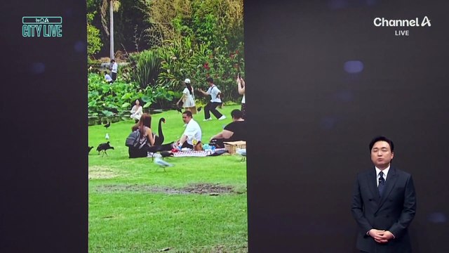 [김종석의 리포트]봉지 뺏은 뒤 도망친 ‘과자 도둑’