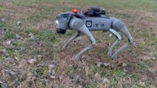 Man interacts with Unitree Go2 Pro robot dog to see if it can obey instructions