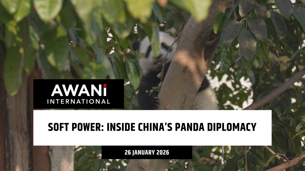 Inside China’s panda diplomacy