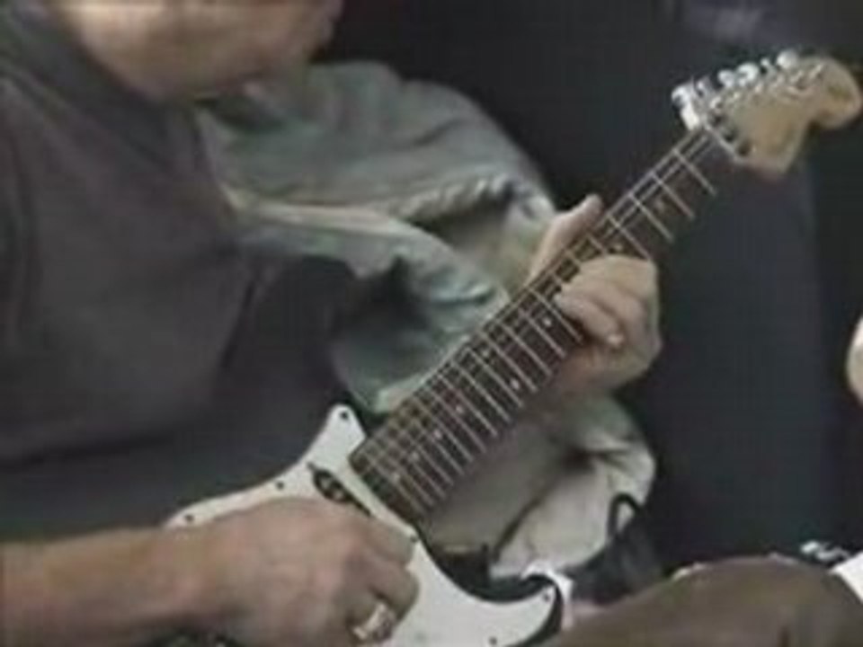 The Lively Ones - Surf Rider