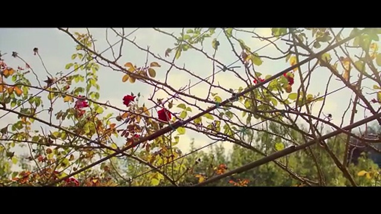 Must Watch_ A Movie That Stays in Your Mind _ Full Movie