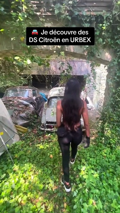 Beautiful collection of vintage DS cars😍