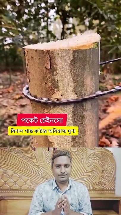 ছোট এই যন্ত্র দিয়ে বিশাল গাছ কাটার অবিশ্বাস্য দৃশ্য Learning Time BD