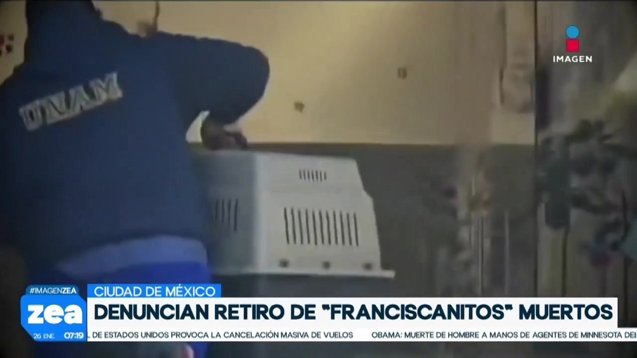 Animalistas denuncian retiro de franciscanitos muertos del Deportivo Hermanos Galeana