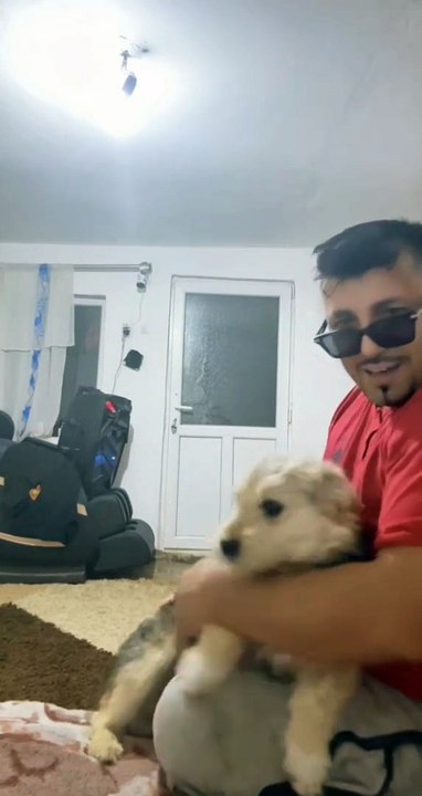 Funny Video for a Quick Laugh