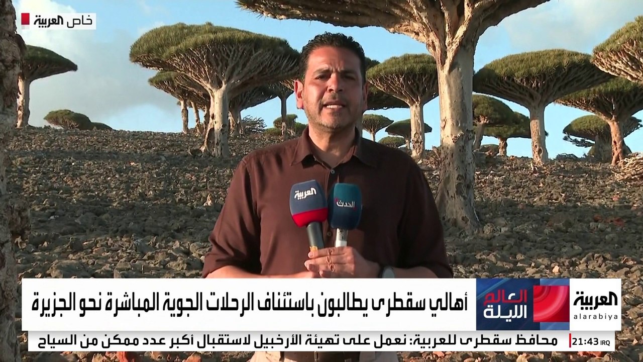 سقطرى تترقب استئناف رحلات الطيران مع جدة.. أبرز المقومات السياحية للجزيرة اليمنية