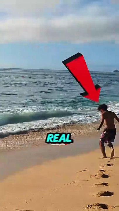 #viral #facts #shorts #reels #english #unitedstates #real #trendingnow #trending #animals #t (3)