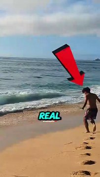 #viral #facts #shorts #reels #english #unitedstates #real #trendingnow #trending #animals #t (3)