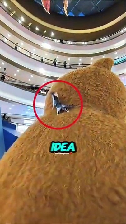 #viral #facts #shorts #reels #english #unitedstates #real #trendingnow #trending #animals #t (2)