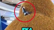 #viral #facts #shorts #reels #english #unitedstates #real #trendingnow #trending #animals #t (2)
