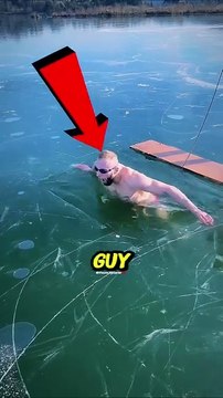 #viral #facts #shorts #reels #english #unitedstates #real #trendingnow #trending #animals #t (8)