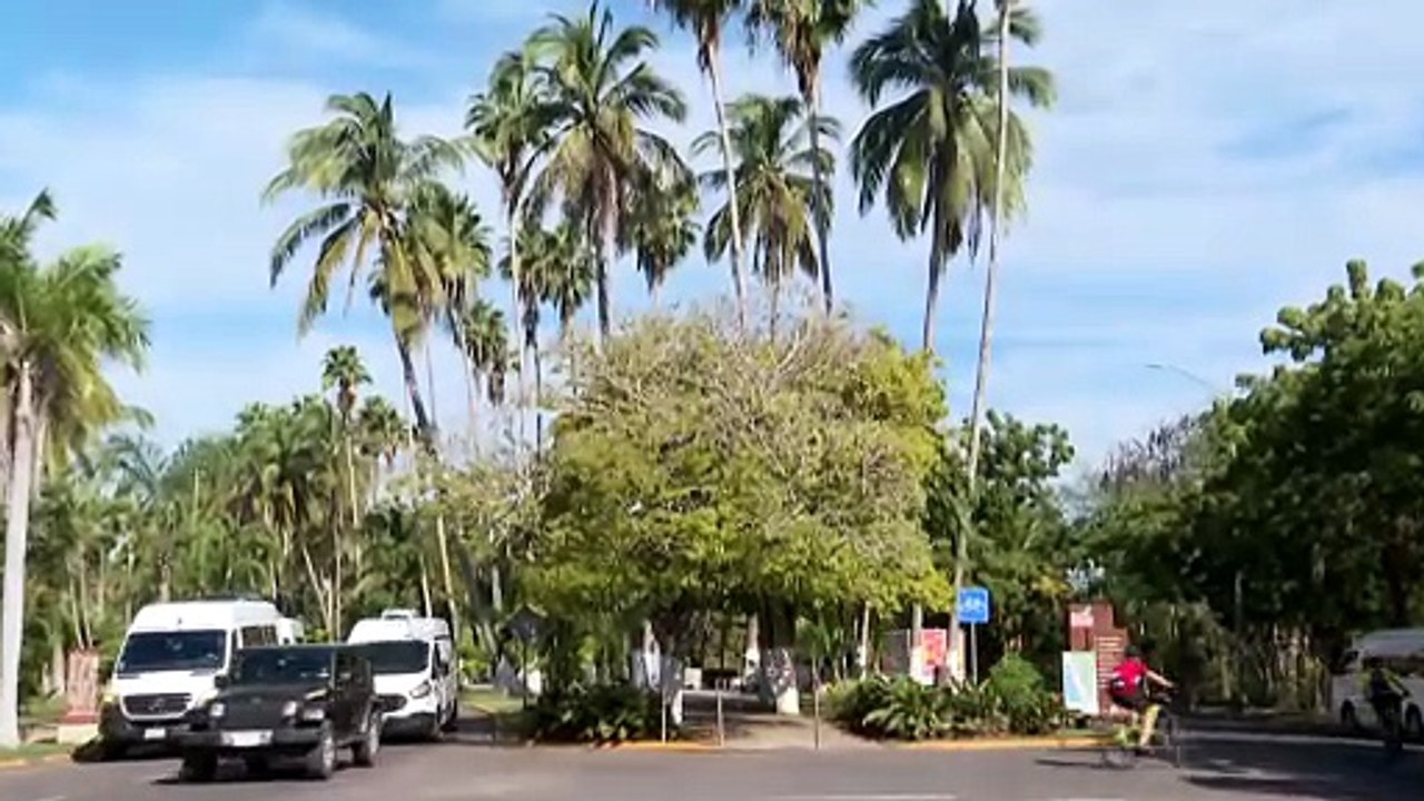 Megaoperativo Nuevo Nayarit: abandonan predios millonarios | CPS Noticias Puerto Vallarta