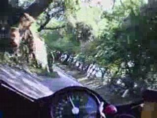 Queven 2008 - 400 course 1