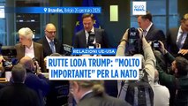 Rutte sfida gli eurodeputati ed elogia Trump: 