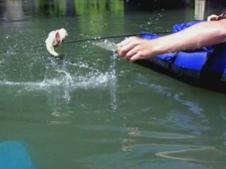 Compil peche avril-mai 2008