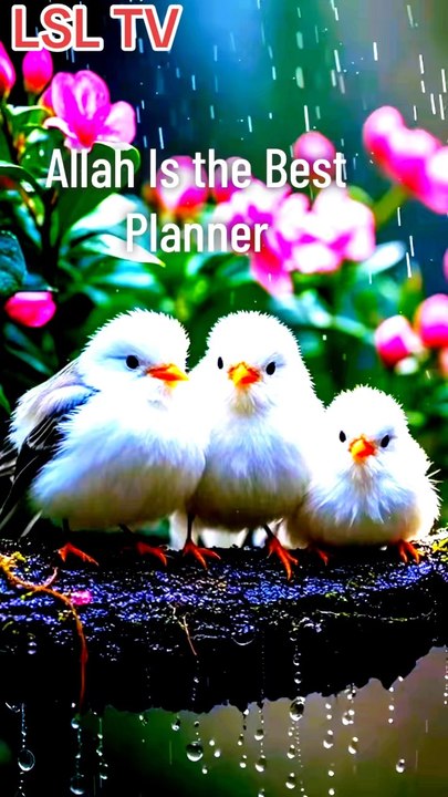 Allah Is the Best Planner