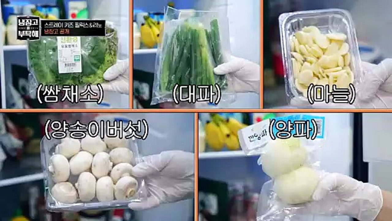 🇰🇷EP. 40 CHEF & FRIDGE 2 (2025) | ENG SUB | KOREAN VARIETY