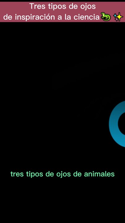 Ciencias Naturales: Animales.s#OjosAnimales,#Bioingeniería, #CuriosidadesCientíficas🤓