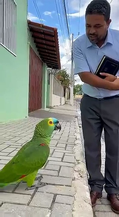 vamos rir um pouco desse papagaio