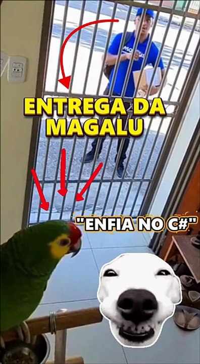 Papagaio Sem Filtro