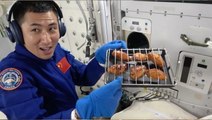 China Conducts First-Ever Space BBQ With Hot-Air Oven On Tiangong Space Station