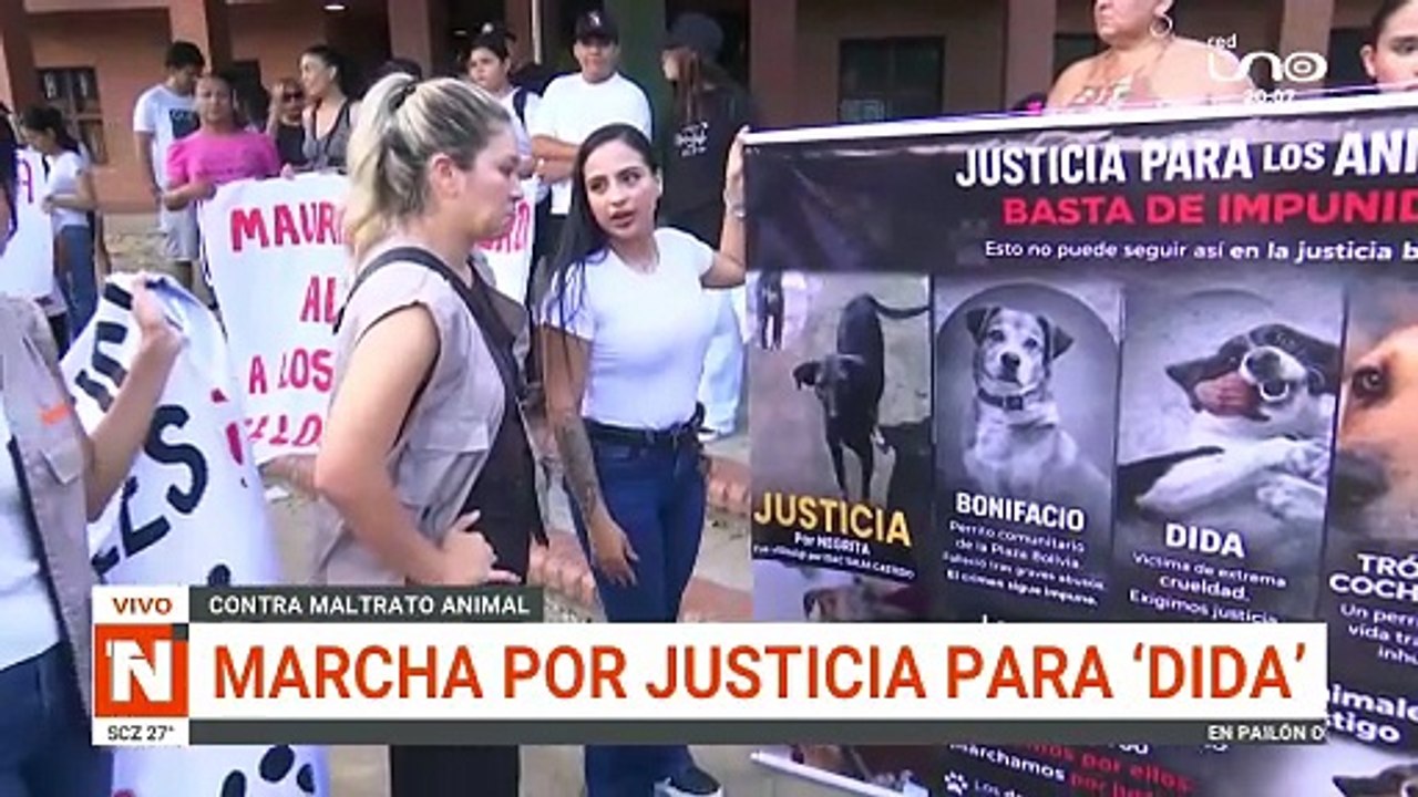 ANIMALISTAS PIDEN SANCIONES MÁS DURAS POR DELITOS CONTRA ANIMALES