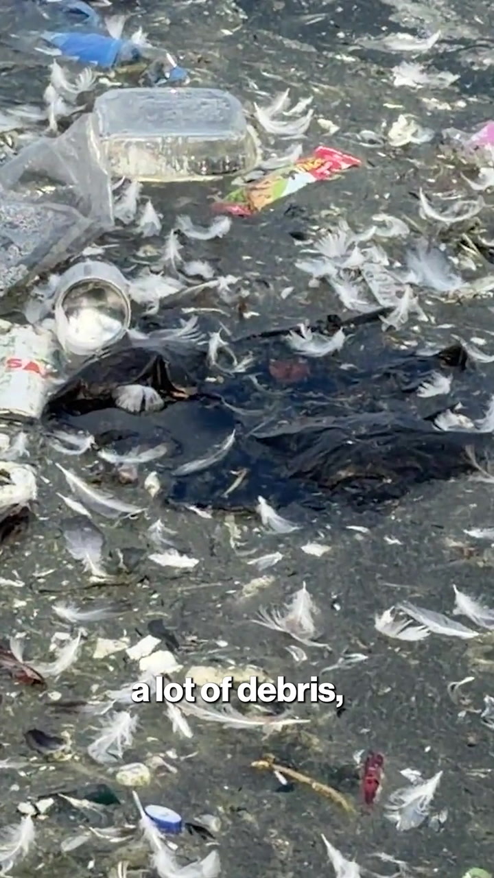 LA’s MacArthur Park lake search for bodies allegedly halted by DSA councilwoman