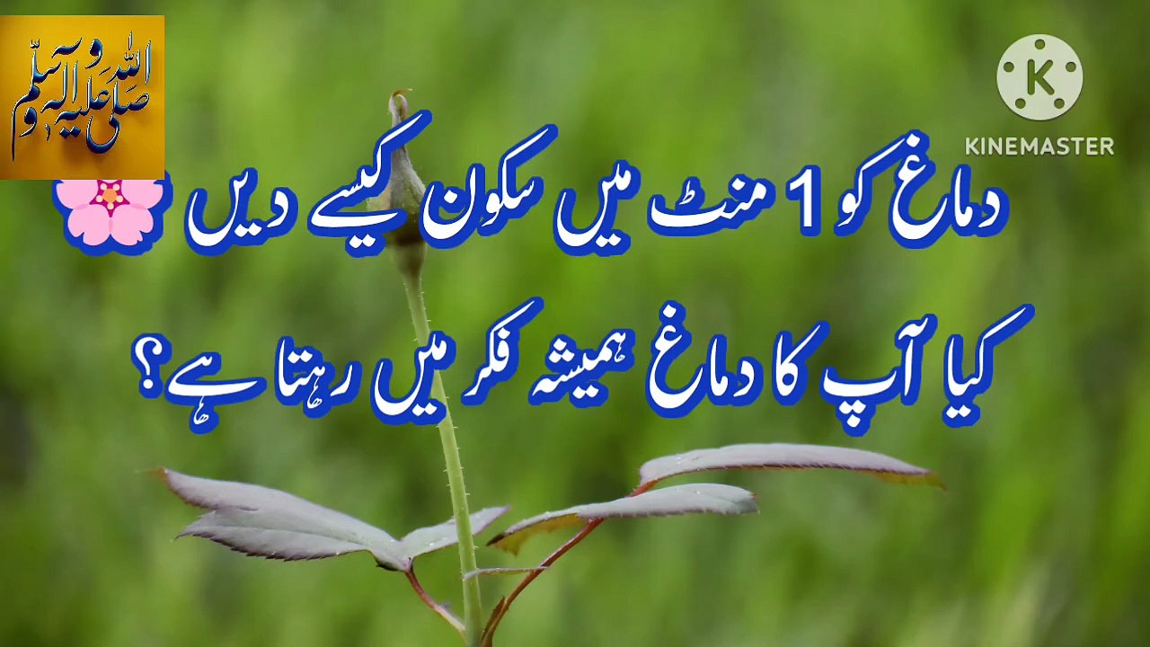 اسلامک وڈیو