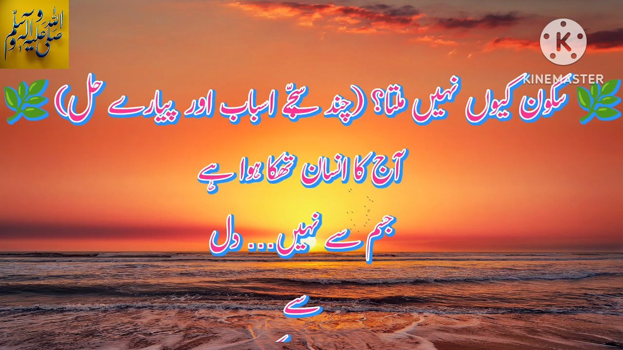 اسلامک وڈیو